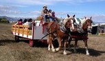 Happy Trails Horse Drawn Rides - Hay Rides, Wagon Rides, Pony Rides, Belgian Horses, fun rides, Draft horses, Party fun